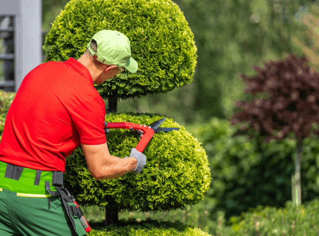 Pruning Trees & Shrubs
