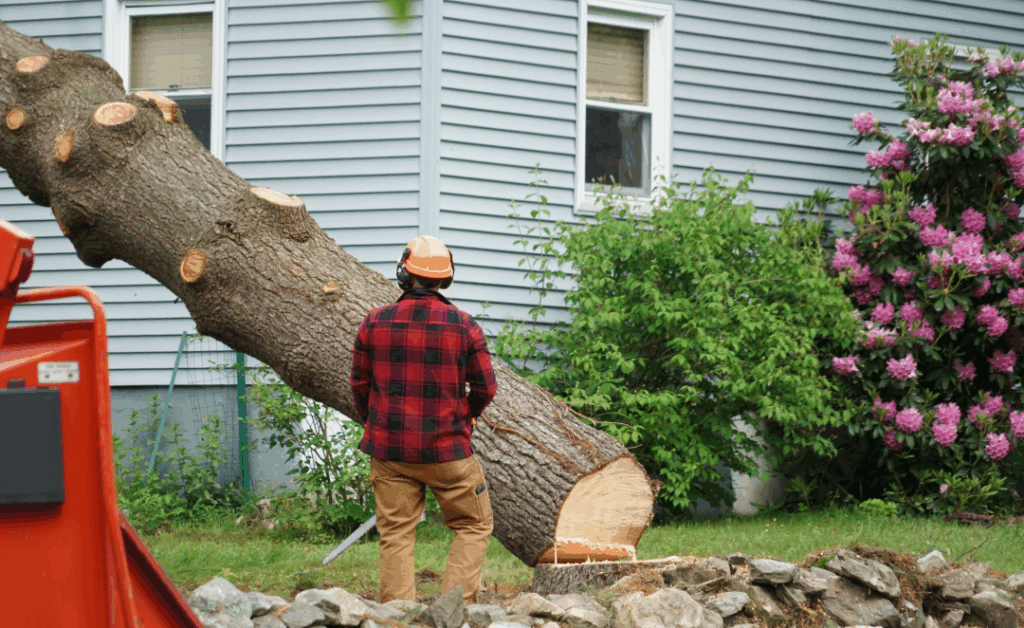 Landscaping & Hardscaping, tree services, About Us
